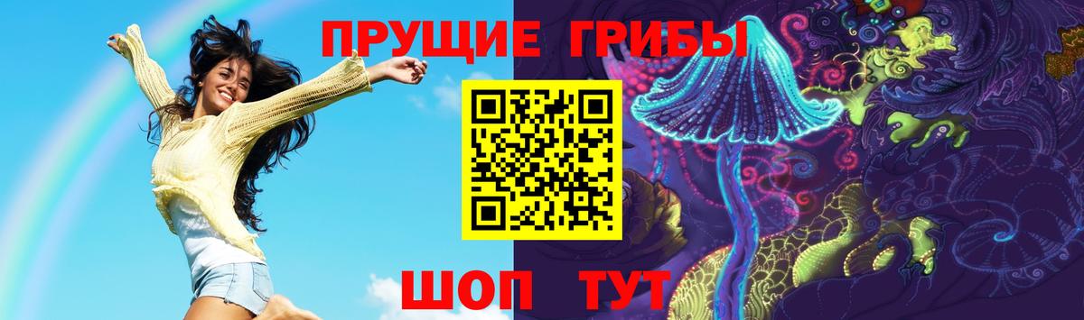 Свободный  Галлюциногенные грибы Cubensis  Вход с VPN 