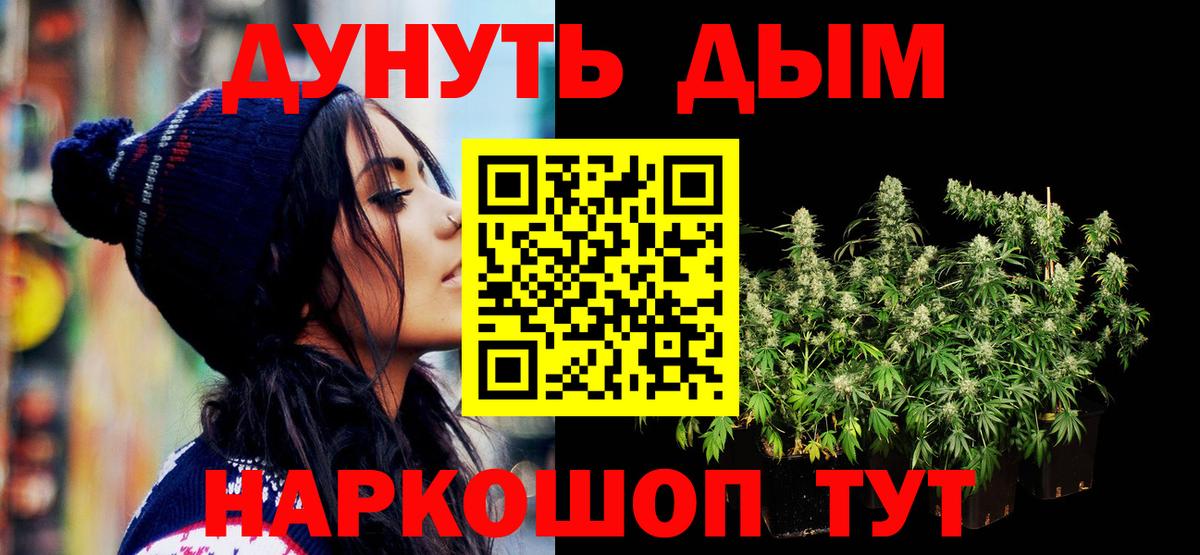 МАРИХУАНА сатива Свободный